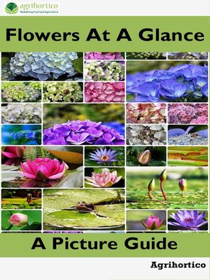 cover image of Flowers At a Glance